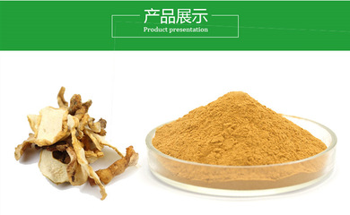 探寻黄精提取物的药用价值与应用前景
